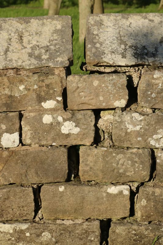 Stone Wall Repair in Warminster, PA